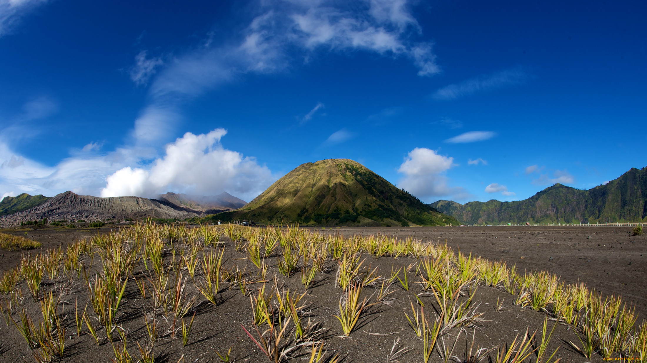 sand, field, , , , , , , 